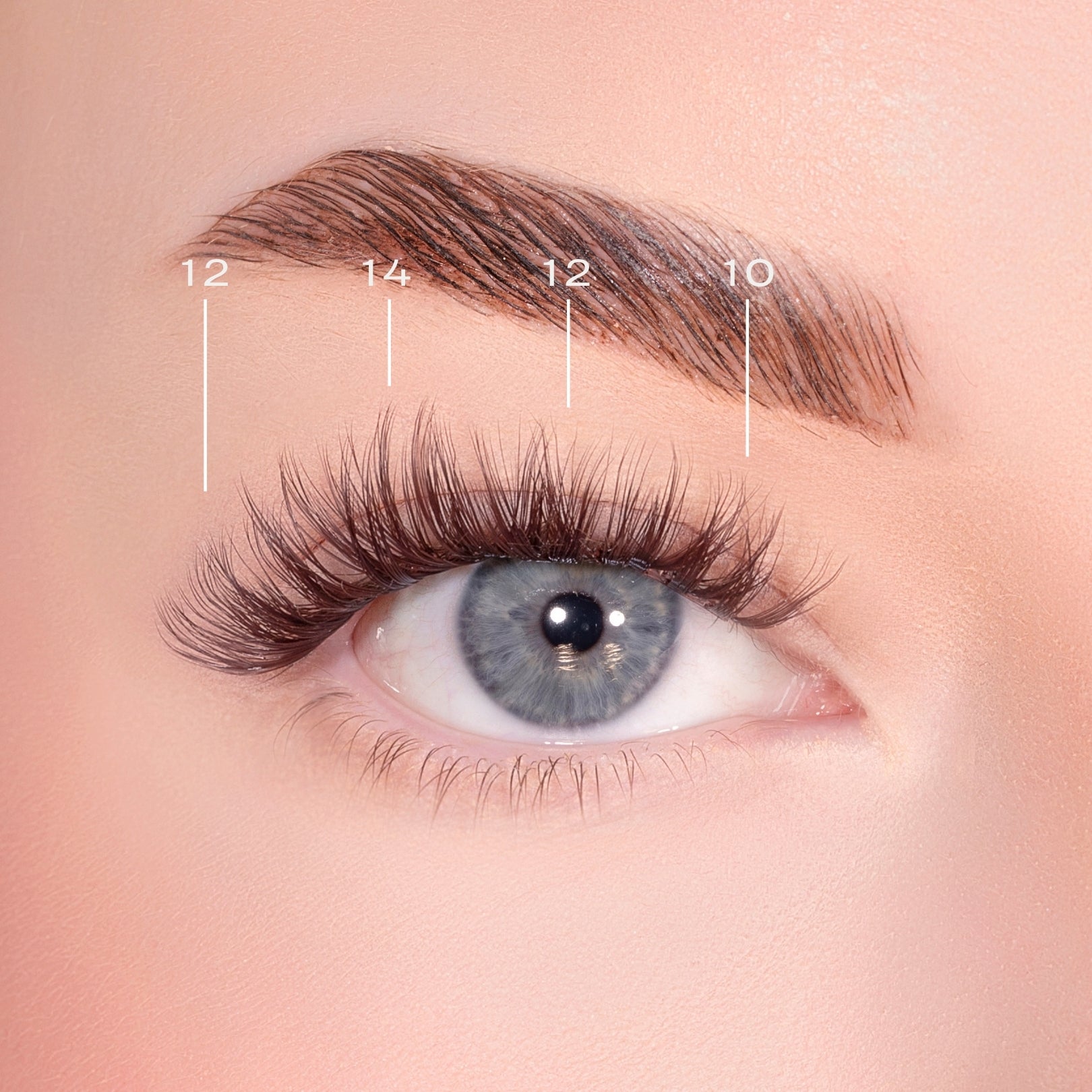 Bold Definition Dark Brown Pre-Glued Lashes Set