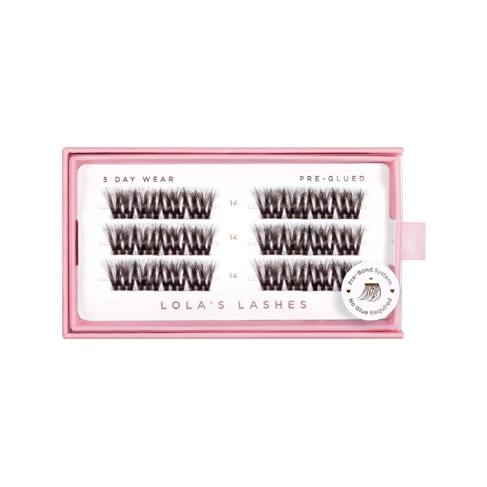 Bold Definition Brown Single Length Pre-Glued Lashes