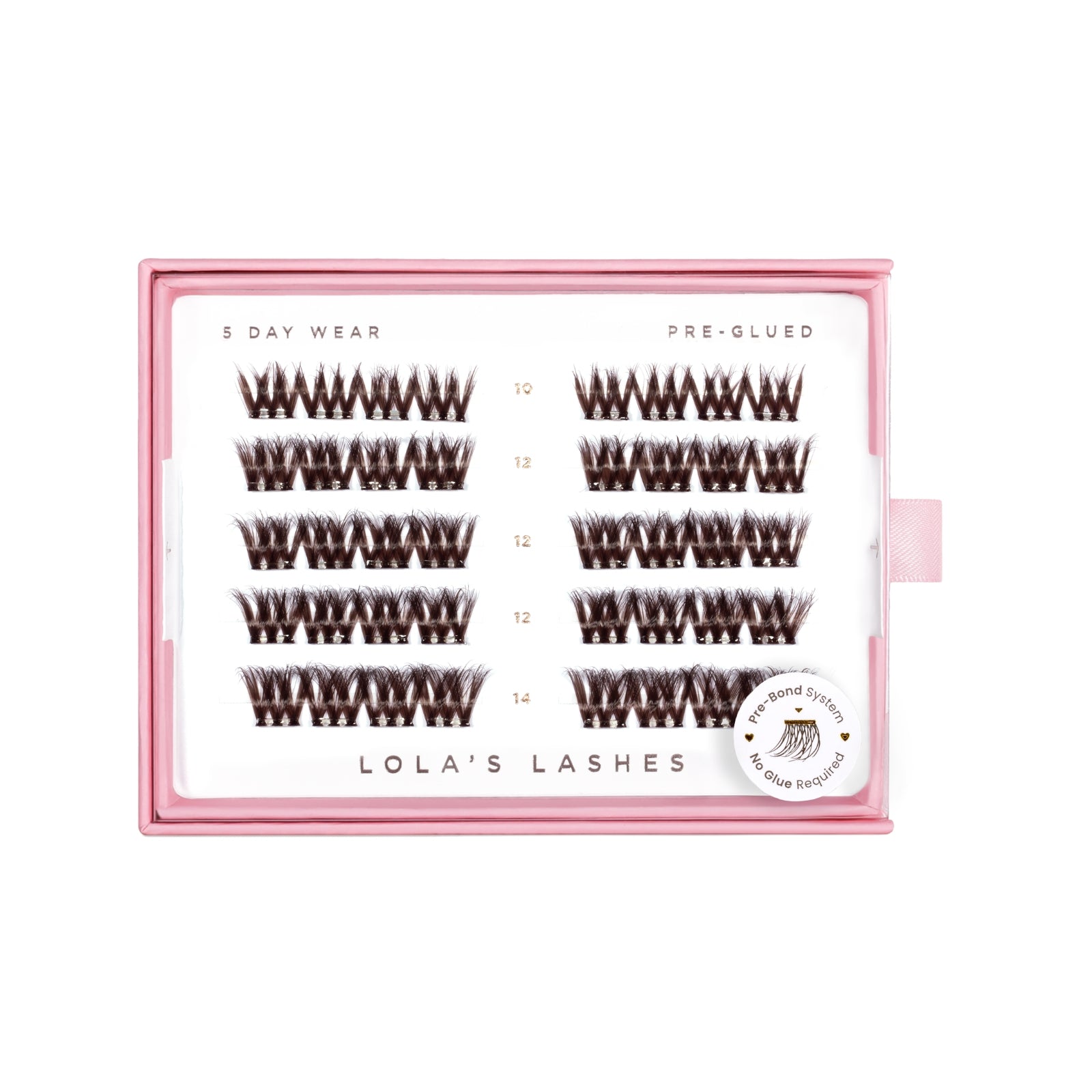 Bold Definition Dark Brown 5 Rows Mixed Lengths
