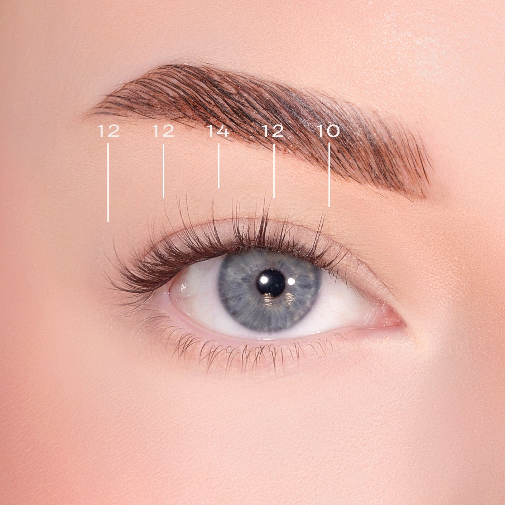 Feathered Dark Brown Pre-Glued Lashes Set