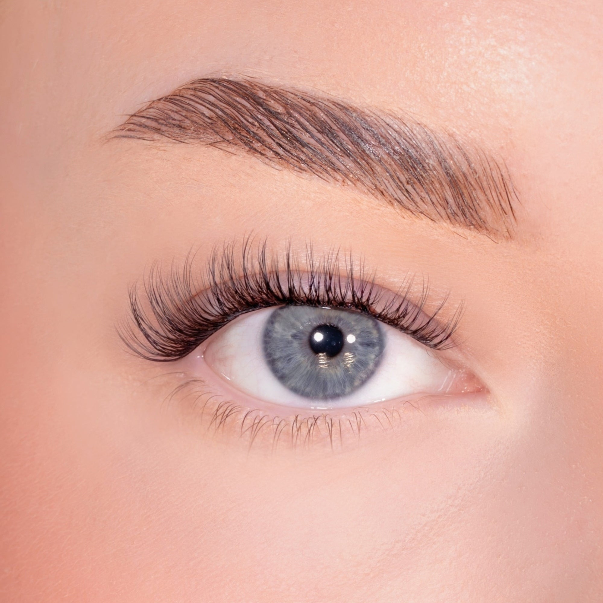 Subtle Volume Pre-Glued Lashes
