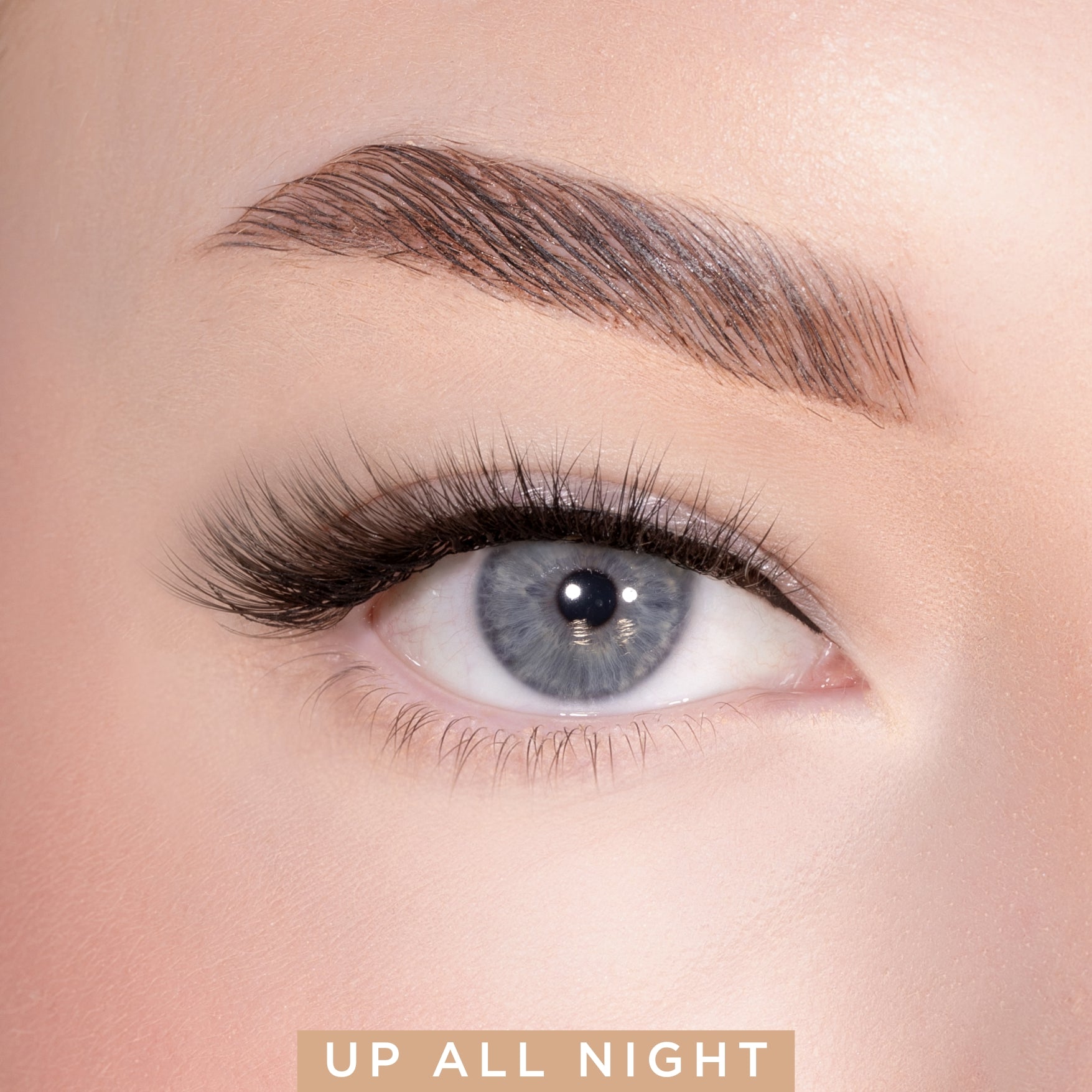 Everynight Strip Lash Duo Kit