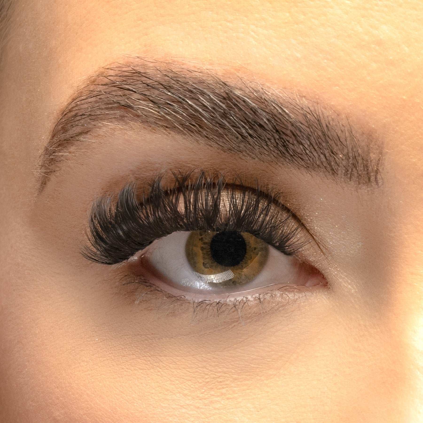 Russian XL DIY Lash Extensions