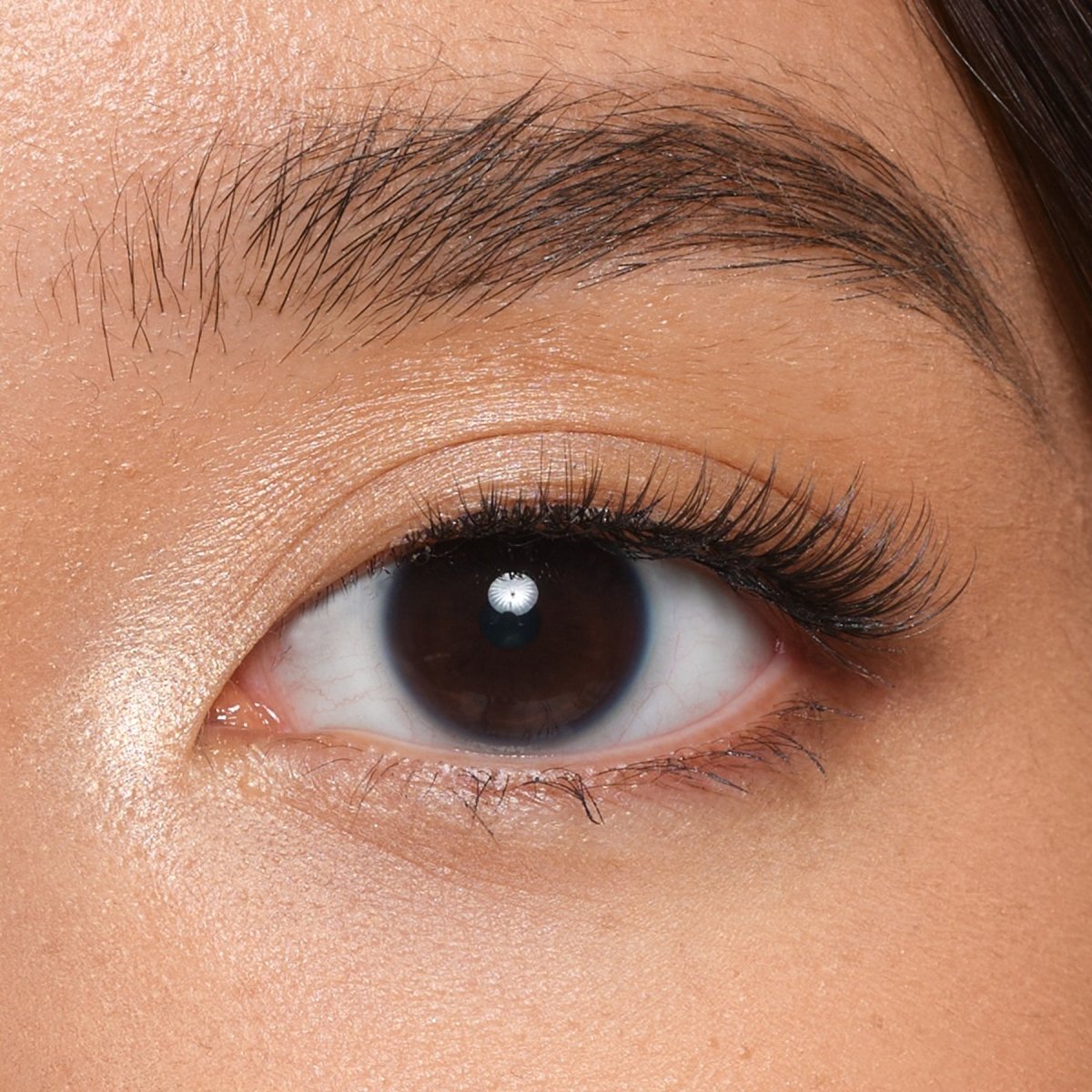 Latte Strip Lashes - Lola's Lashes