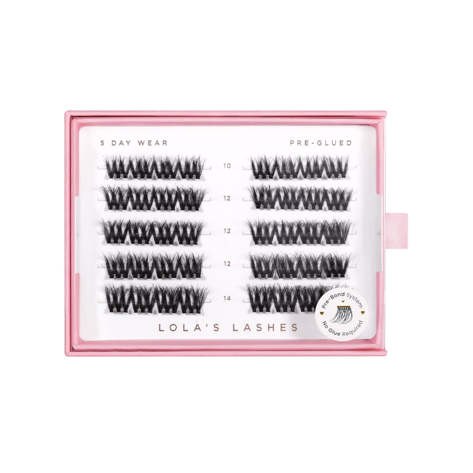 Bold Definition 5 Rows Mixed Lengths