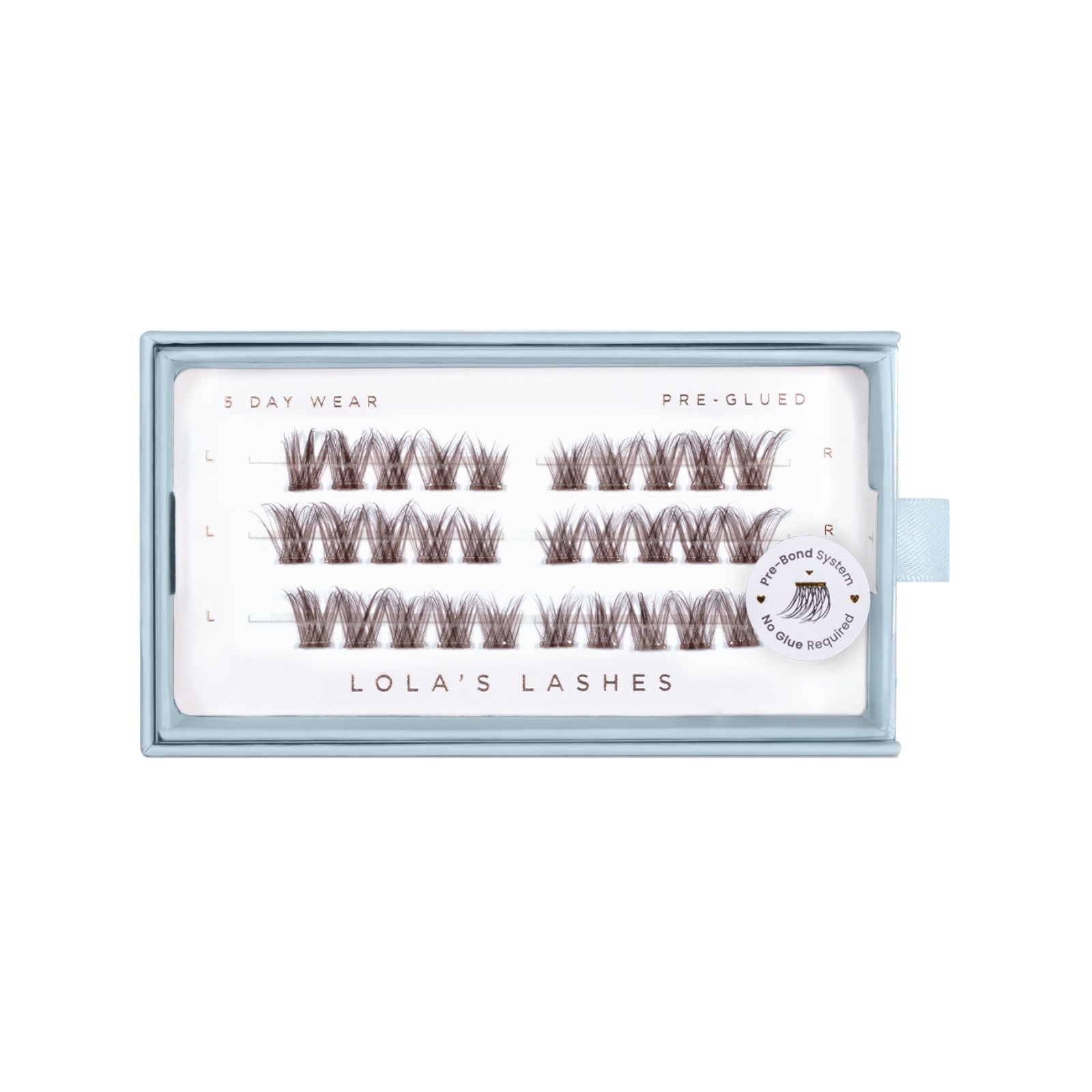 Natural Pre-mapped Dark Brown Pre-Glued Lashes